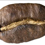 Picture Of Coffee Bean At Close