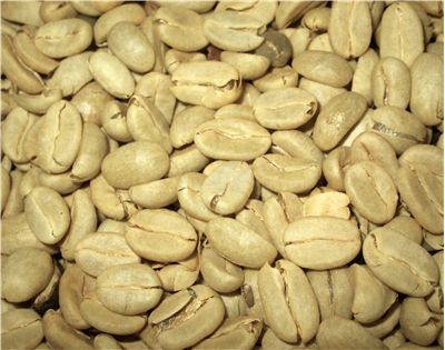 Picture Of Green Coffee Beans